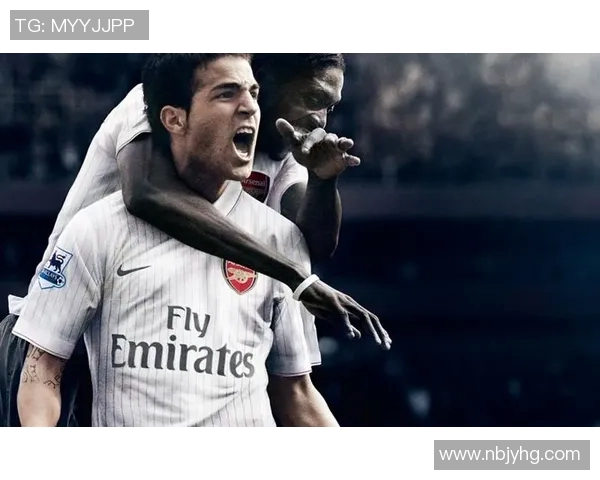 法国足球明星的璀璨星空与他们的辉煌成就探秘