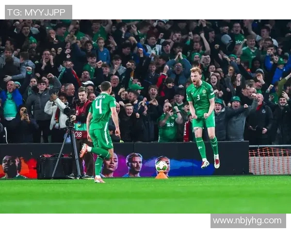 爱尔兰国家足球队现役明星球员完整名单及其精彩表现分析